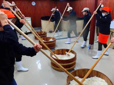 모토즈쿠리(酛作り)에 사용되는 키모토,야마하이,보다이모토 등 알아보기 | 전통 키모토계 주모와 현대 속성계 주모